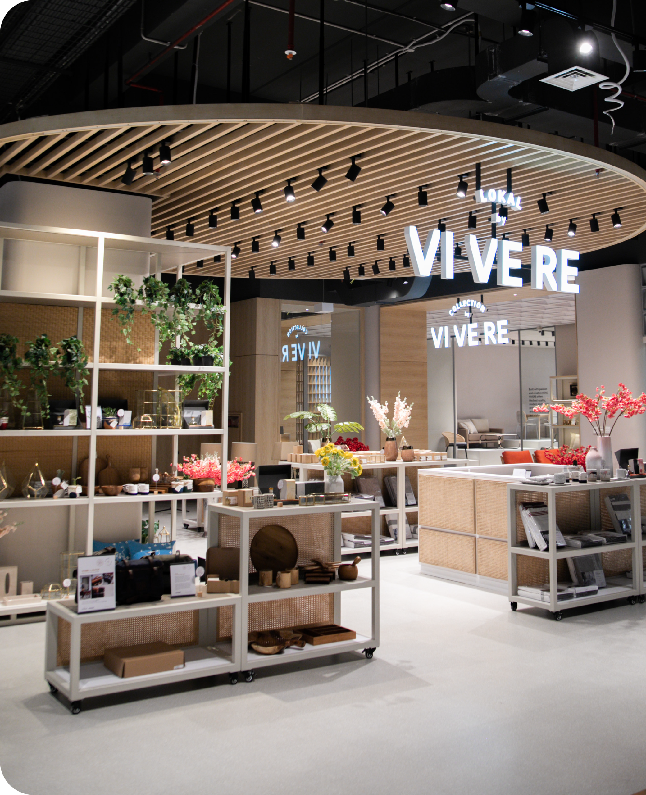 VIVERE SME Development Program